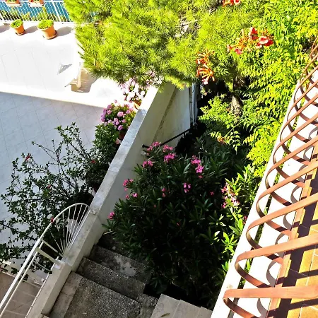 Pino Apartament *