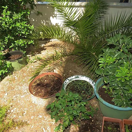 Pino Apartament Brela