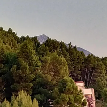 Pino Apartament *